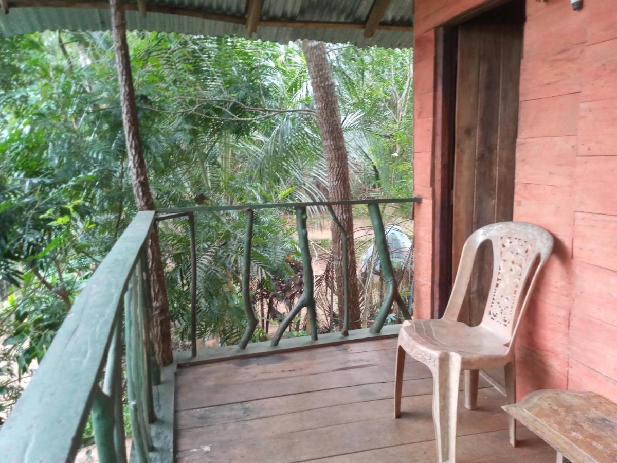 Ferienwohnung Angry Birds Tree House Habarana Exterior foto