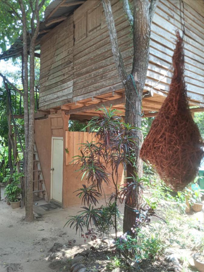 Ferienwohnung Angry Birds Tree House Habarana Exterior foto