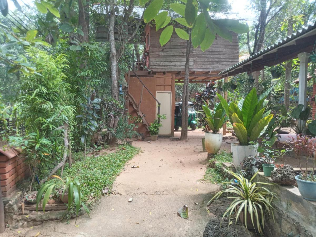 Ferienwohnung Angry Birds Tree House Habarana Exterior foto