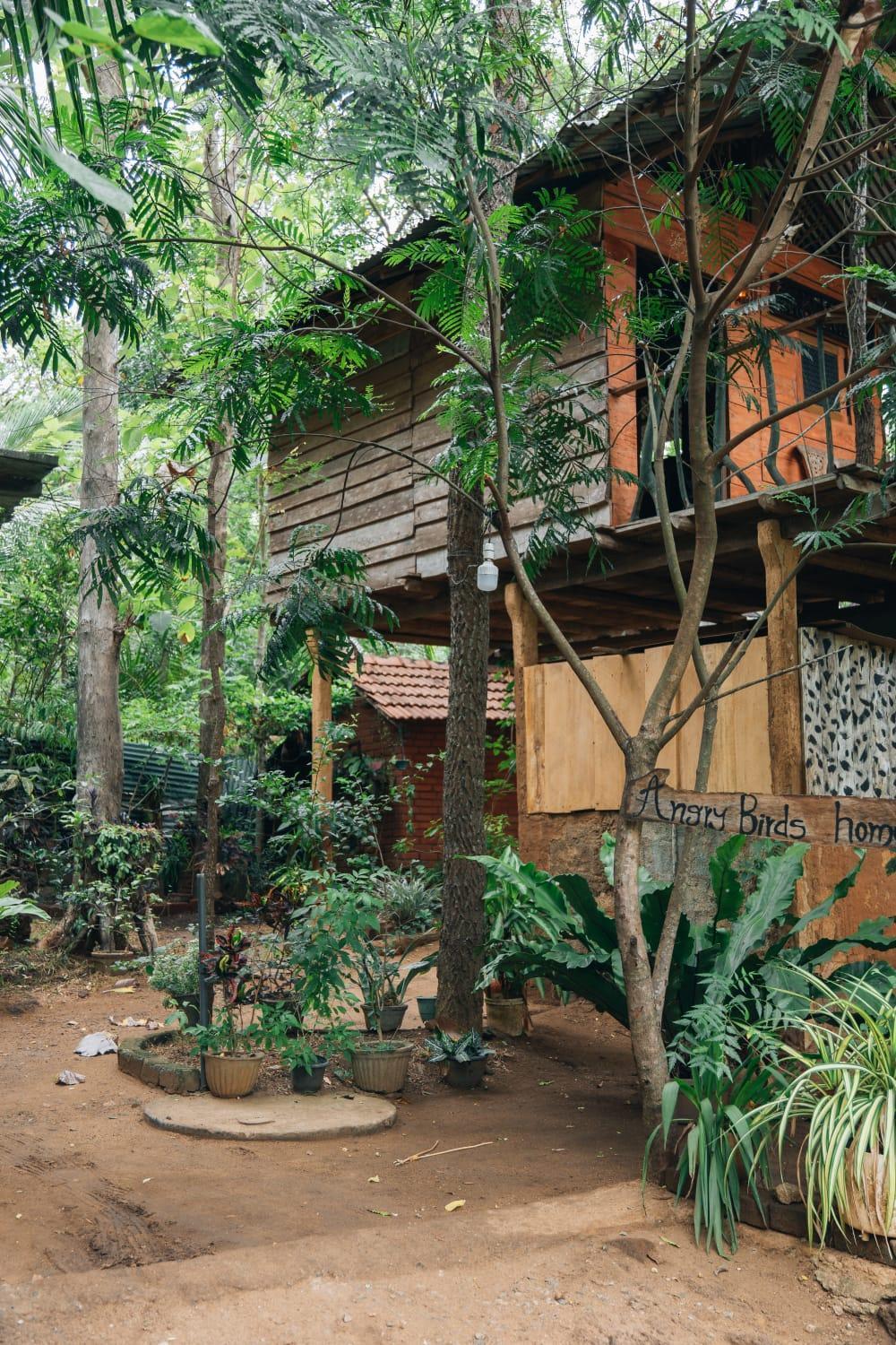 Ferienwohnung Angry Birds Tree House Habarana Exterior foto