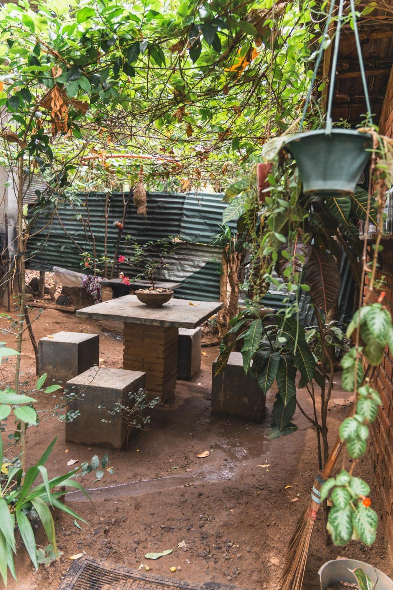 Ferienwohnung Angry Birds Tree House Habarana Exterior foto