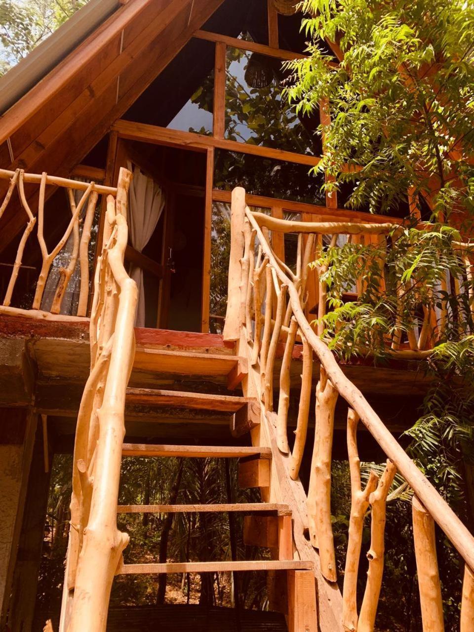 Ferienwohnung Angry Birds Tree House Habarana Exterior foto
