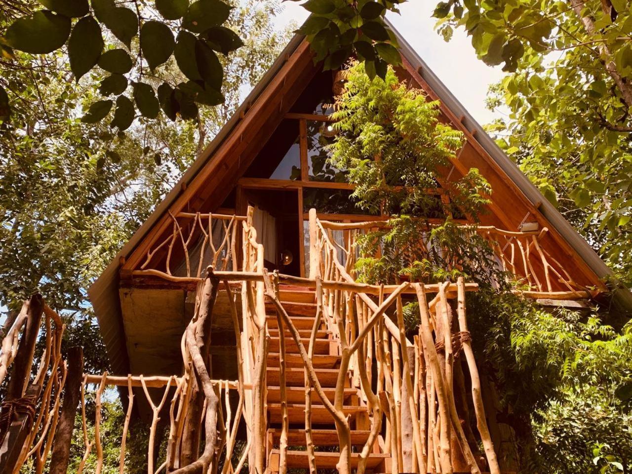 Ferienwohnung Angry Birds Tree House Habarana Exterior foto