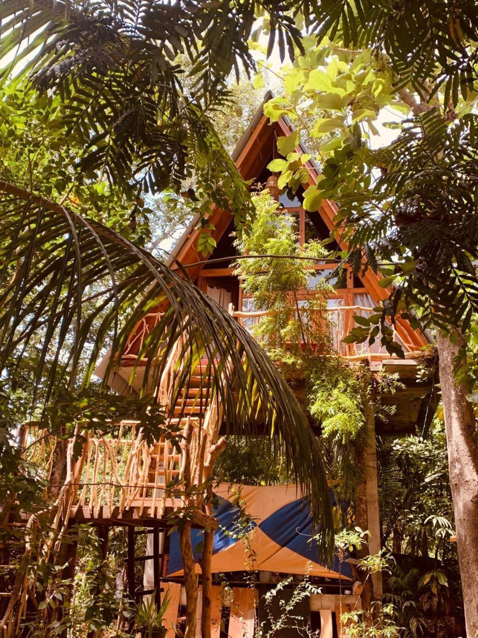 Ferienwohnung Angry Birds Tree House Habarana Exterior foto