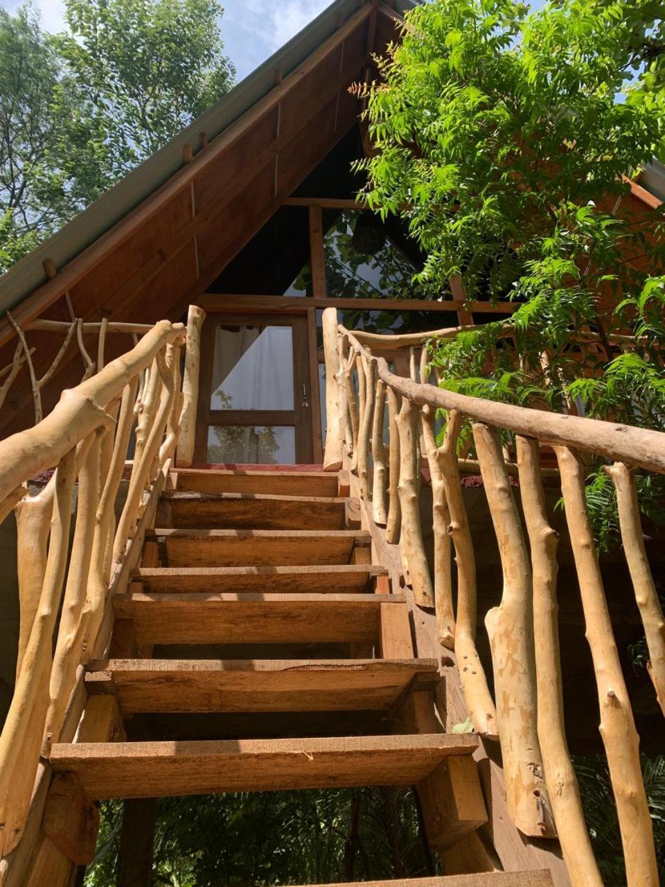 Ferienwohnung Angry Birds Tree House Habarana Exterior foto