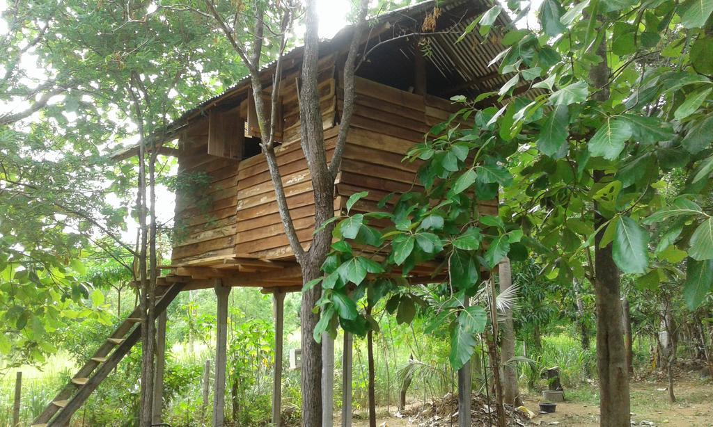 Ferienwohnung Angry Birds Tree House Habarana Exterior foto