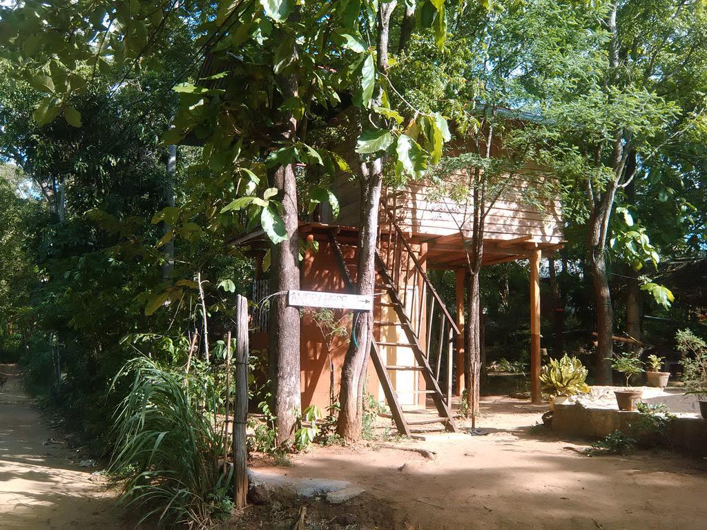 Ferienwohnung Angry Birds Tree House Habarana Exterior foto