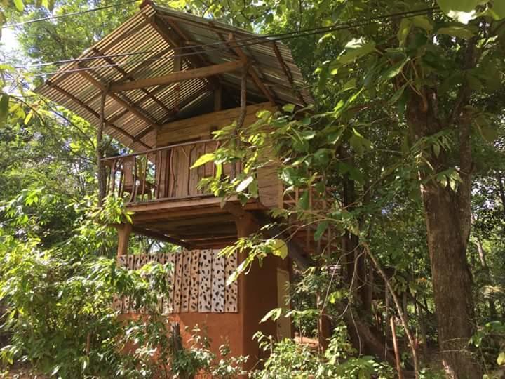 Ferienwohnung Angry Birds Tree House Habarana Exterior foto
