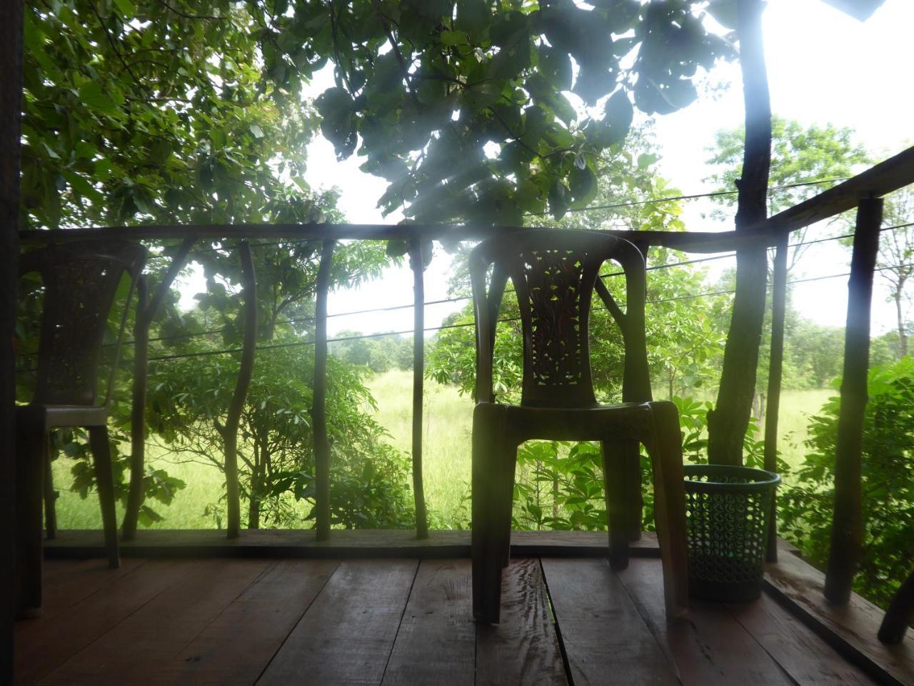 Ferienwohnung Angry Birds Tree House Habarana Exterior foto