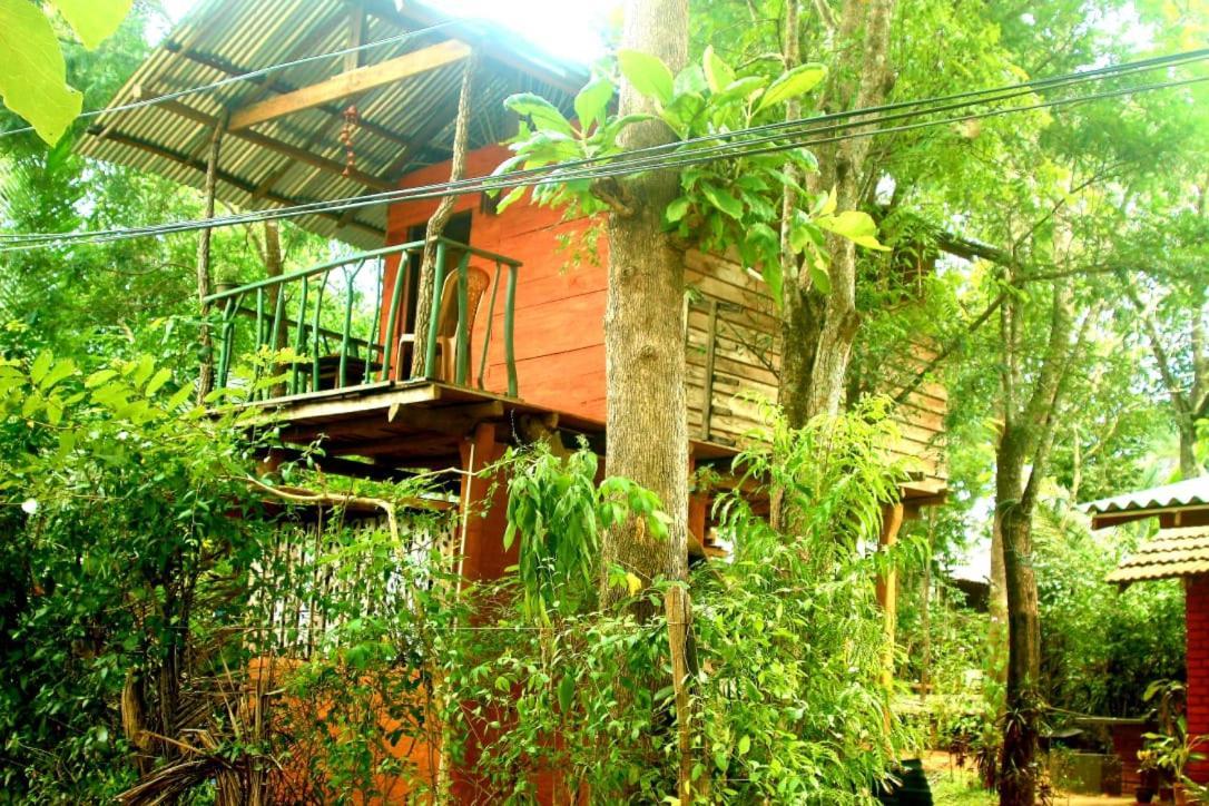 Ferienwohnung Angry Birds Tree House Habarana Exterior foto